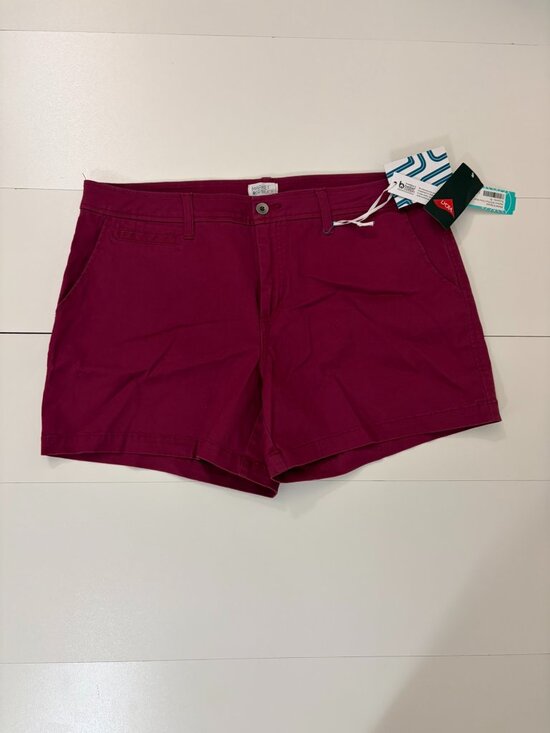 Market & Spruce Pants - Pink Shorts